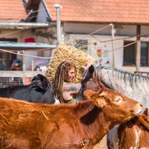 יום התרמה למשפחות 14/5