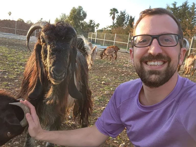 צור מתנדב בחוות השאנטי